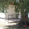 Bungalow bianco con ampia veranda, coperto da un grande albero frondoso.