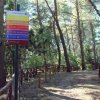 Sentiero nel bosco con cartello colorato.