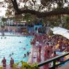 Piscina affollata con persone che nuotano e altre sui lettini. Alberi e ombrelloni attorno.