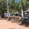 Area campeggio tra alberi con biciclette parcheggiate e sedie vicino a tende.