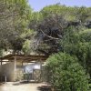 Struttura in muratura tra alberi folti.