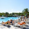 Piscina con lettini e palme al sole.