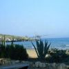 Spiaggia con piante e una struttura per la pesca sullo sfondo.