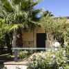 Casa con palme e cespugli in giardino.