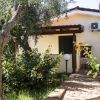 Bungalow con fiori arancioni e olivi.