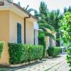 Case gialle con persiane verdi e siepi curate.